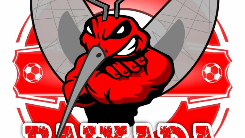 Baixada FC apresenta novos nomes visando o Campeonato Regional de Palmeiras