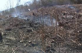 AGRICULTOR E SURPREENDIDO PELO FOGO E MORRE CARBONIZADO EM BARRA DO MENDES/BA.