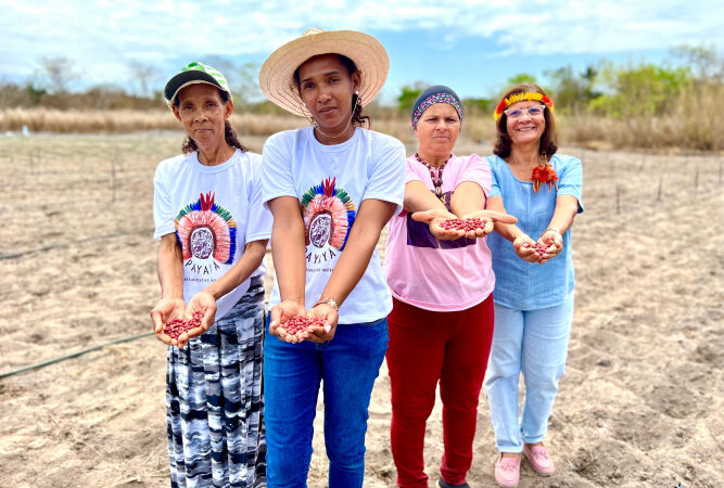 Cozinha de Transformação impulsiona produção de alimentos agroecológicos em Utinga.