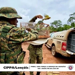 Moradores de Wagner realizam entrega voluntária de Aves Silvestres à Polícia Militar Ambiental