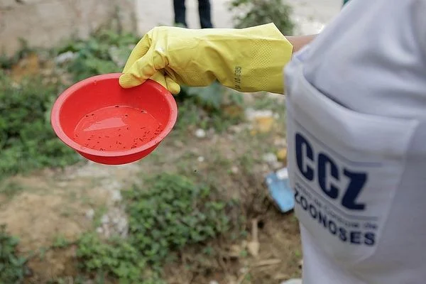 Sobe para 38 o número de cidades com surto de dengue na Bahia; veja a lista completa