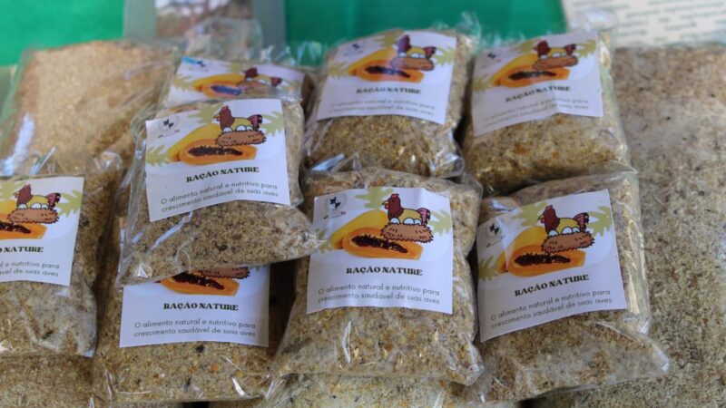 Estudantes de Boquira transformam caule do mamoeiro em ração sustentável para aves