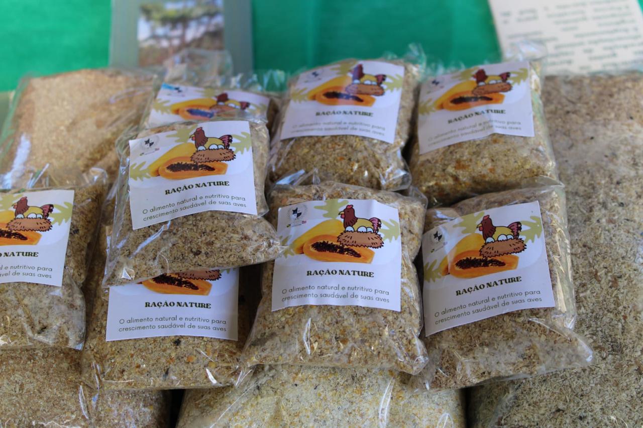 Estudantes de Boquira transformam caule do mamoeiro em ração sustentável para aves