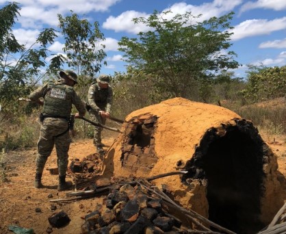 CIPPA/Lençóis intensifica combate à produção ilegal de carvão vegetal em Wagner