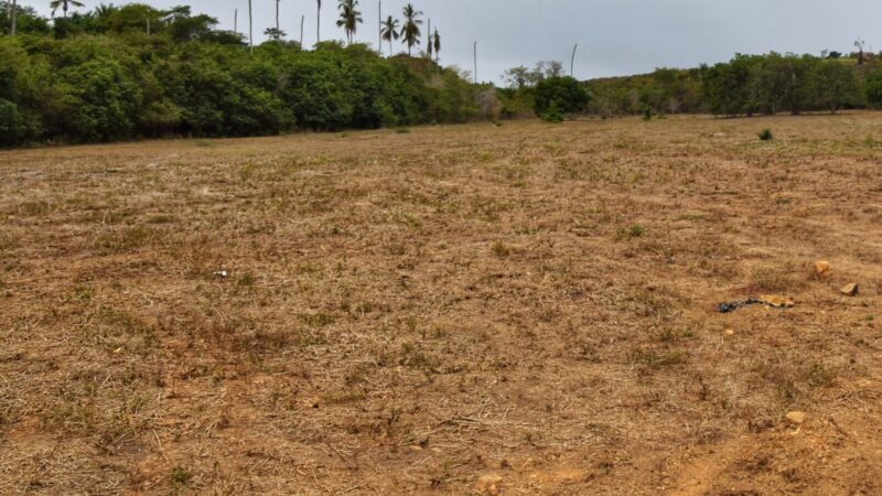 Após protesto em Wagner, Inema suspende outorgas de uso da água no Rio Utinga