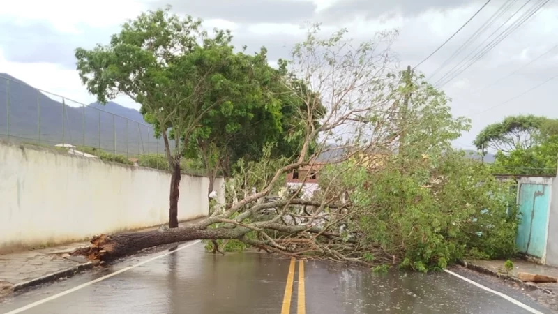 Ventania de até 60 km/h causa destelhamentos e queda de árvores em Rio de Contas