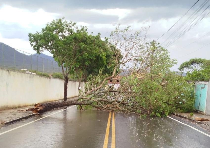 Ventania de até 60 km/h causa destelhamentos e queda de árvores em Rio de Contas