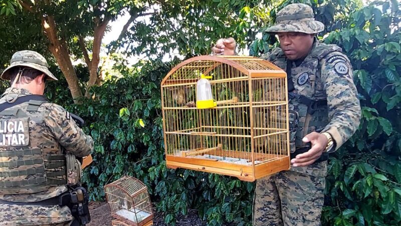 CIPPA Lençóis recolhe aves silvestres entregues voluntariamente no distrito de Cascavel em Ibicoara
