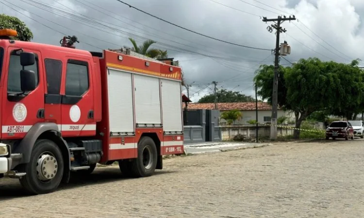 Estudantes são atacados por abelhas durante evento escolar em Jaguaquara